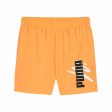 Sports Shorts Puma Essentials+ Online now