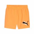 Sports Shorts Puma Essentials+ AB For Sale