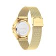 Ladies  Watch Calvin Klein 25300003 Fashion