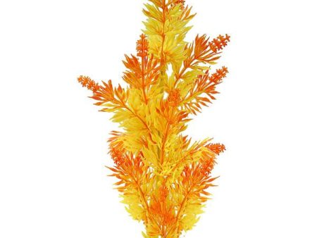 COLORBURST FLORALS - Gravel Base Plant Large Bush Plant Orange - 8.5  Tall Online