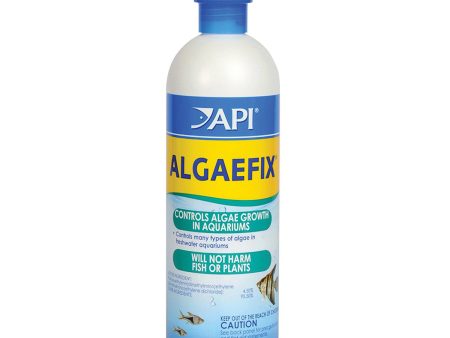 API - AlgaeFix Algae Control Solution for Freshwater Aquariums - 16 fl. oz. (473 ml) Sale